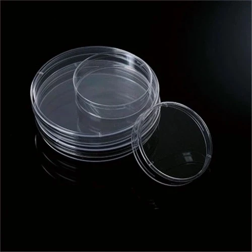 Disposable Culture Plate best